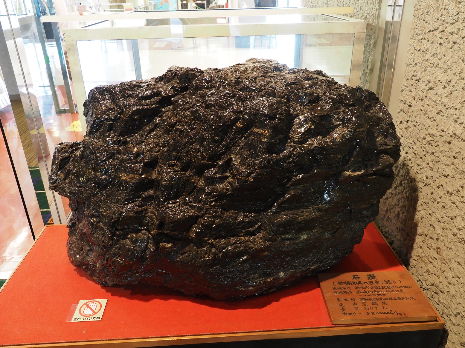 PA310338.jpg