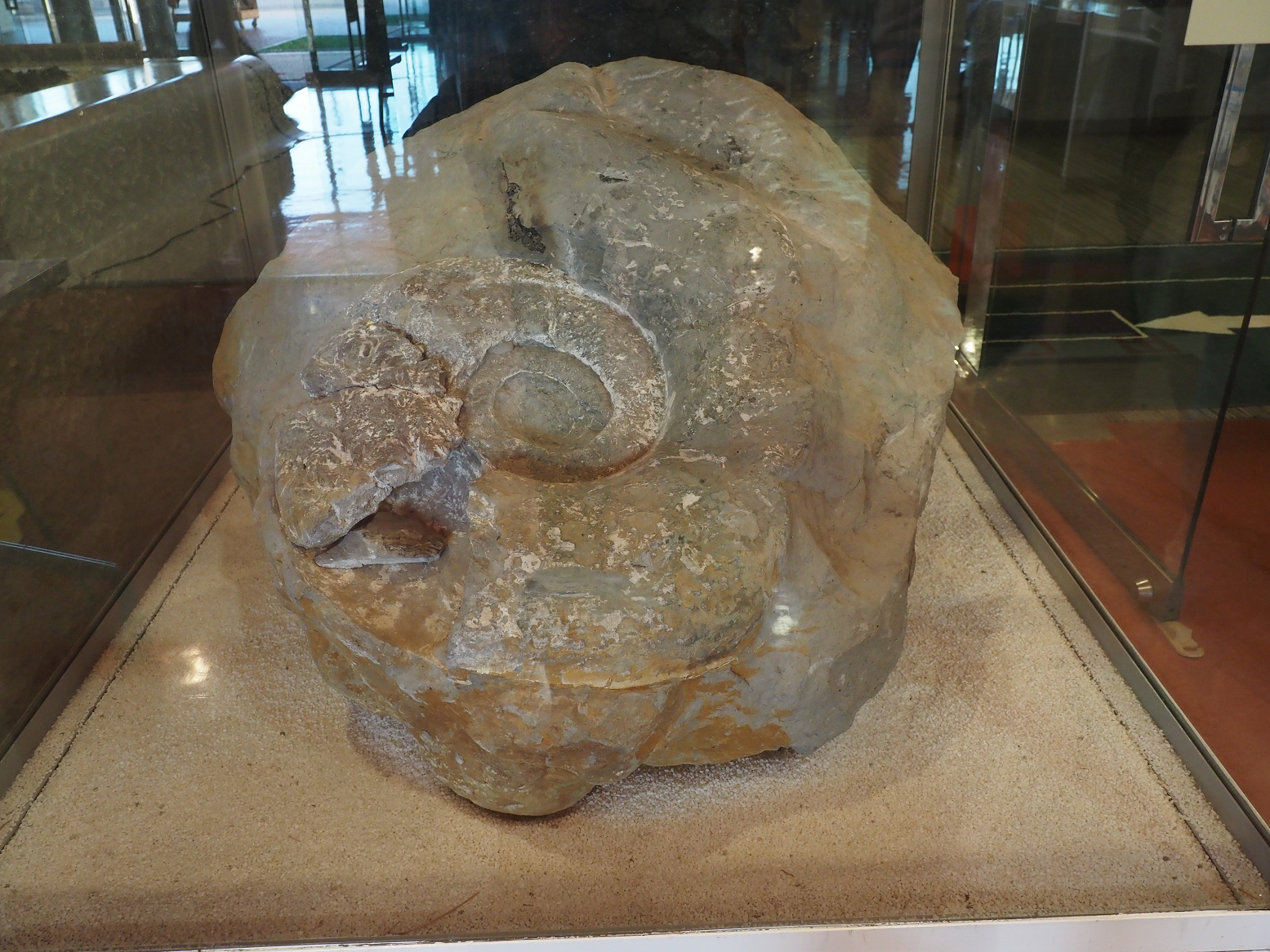PA310343.jpg