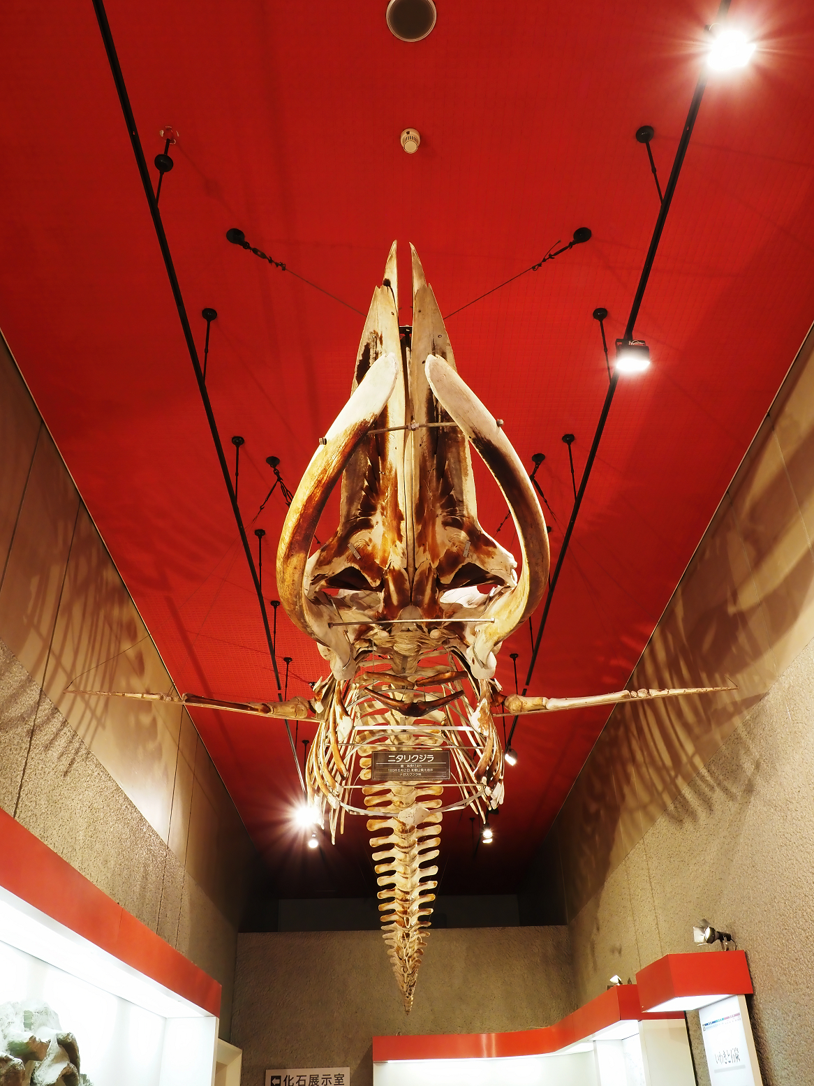 PA310345.jpg