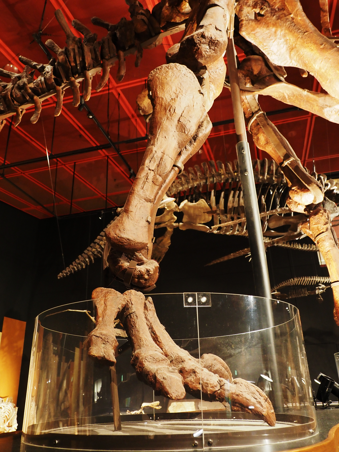 PA310347.jpg