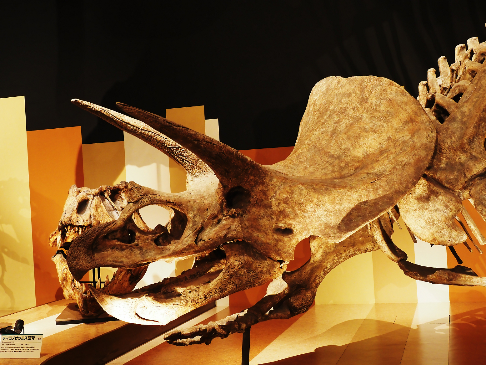 PA310348.jpg