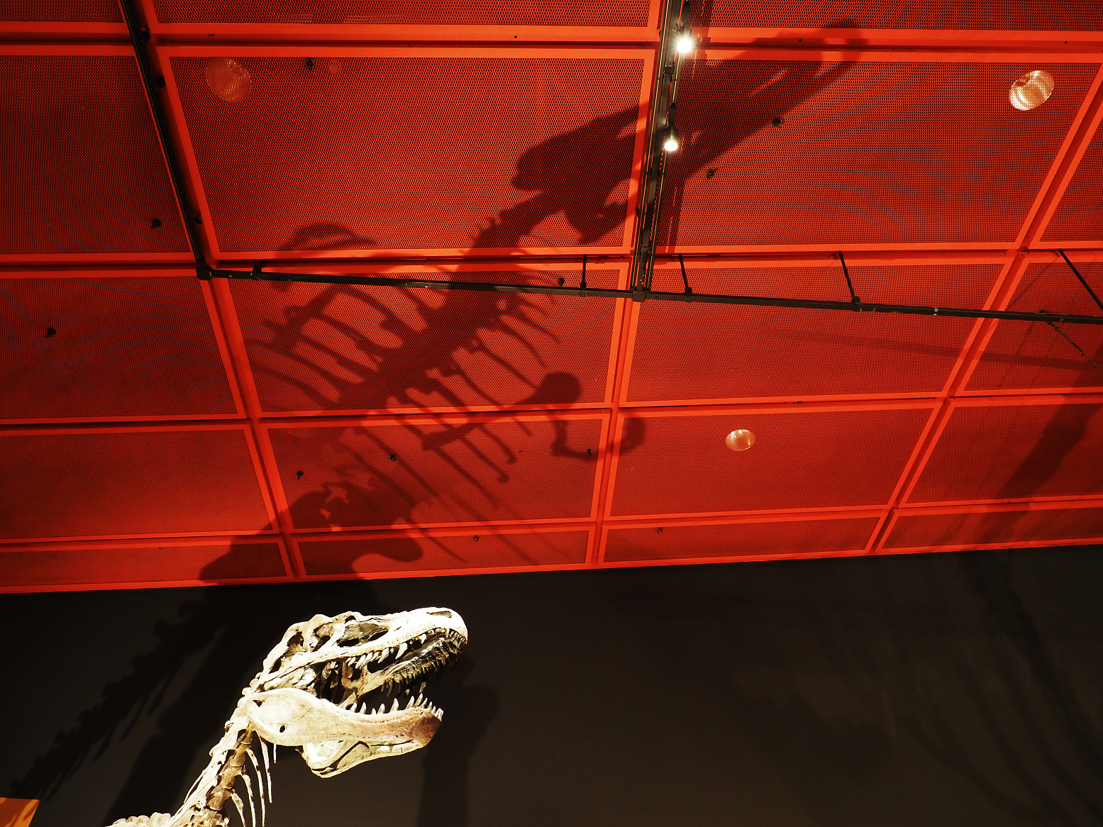 PA310349.jpg