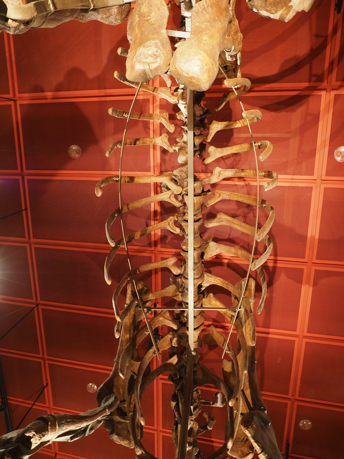 PA310350.jpg