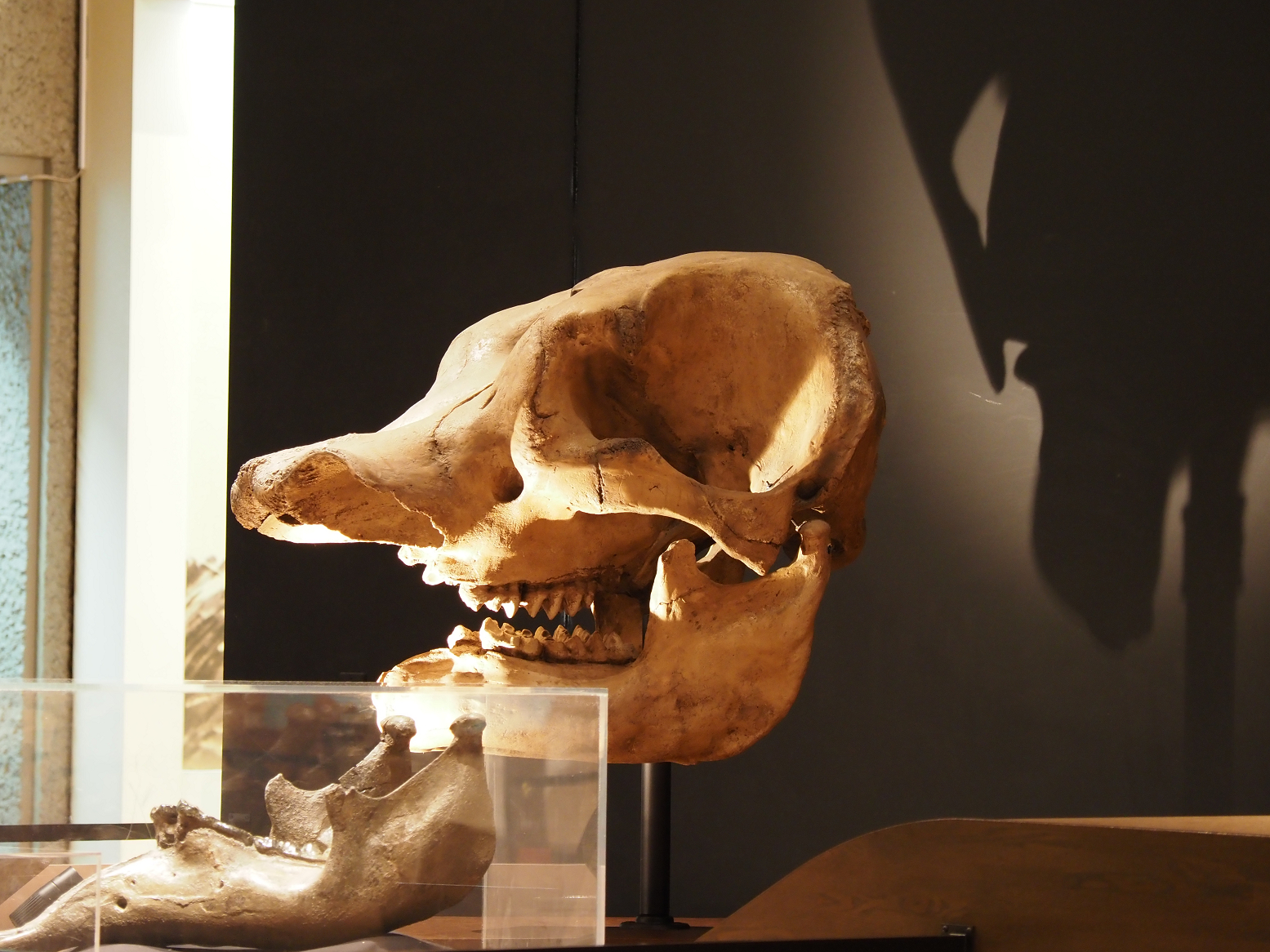 PA310351.jpg