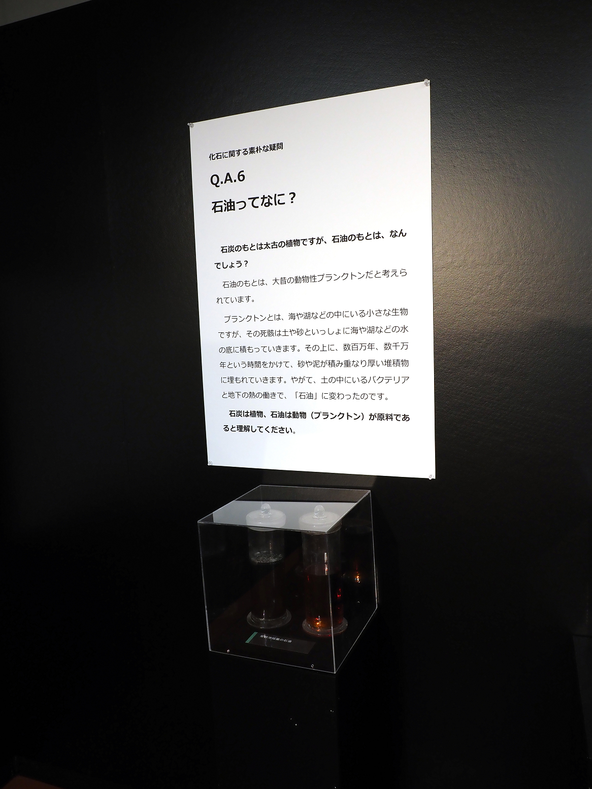 PA310358.jpg