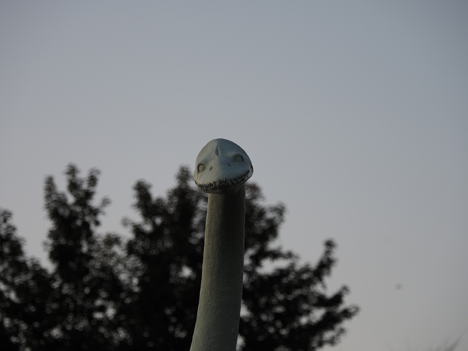 PA310367.jpg