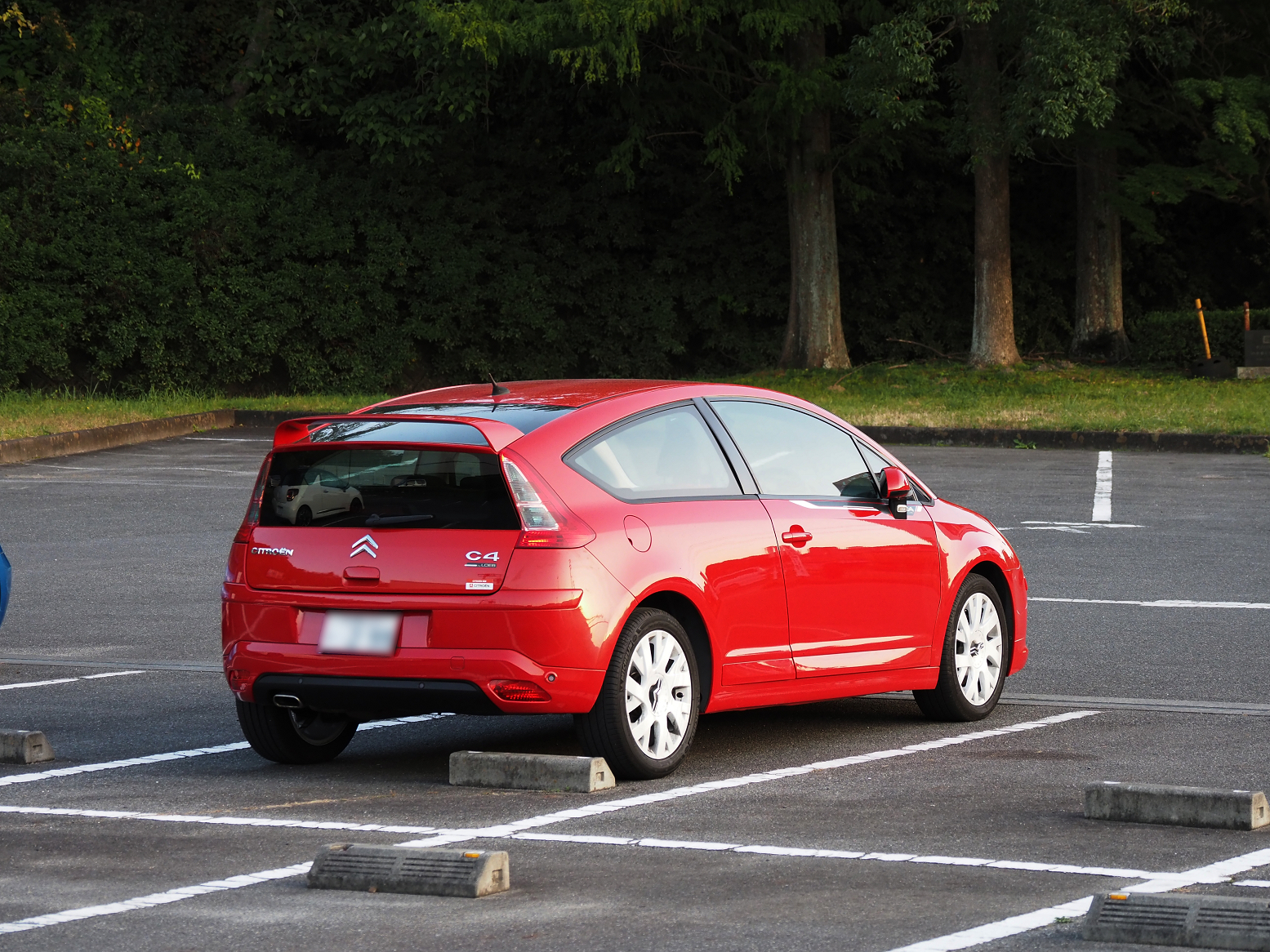 PA310368.jpg