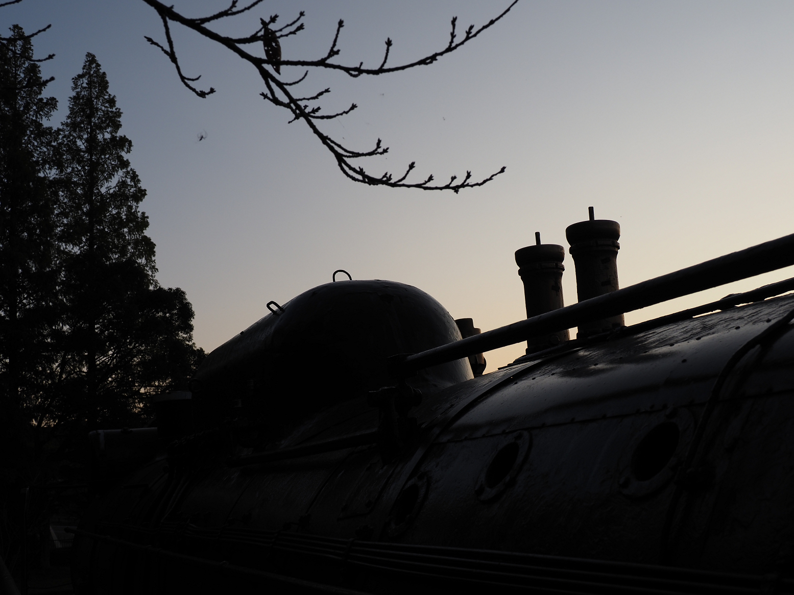 PA310377.jpg
