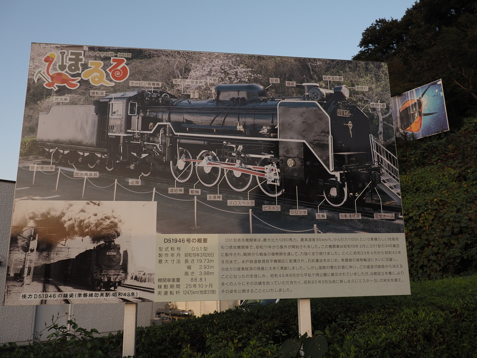 PA310394.jpg