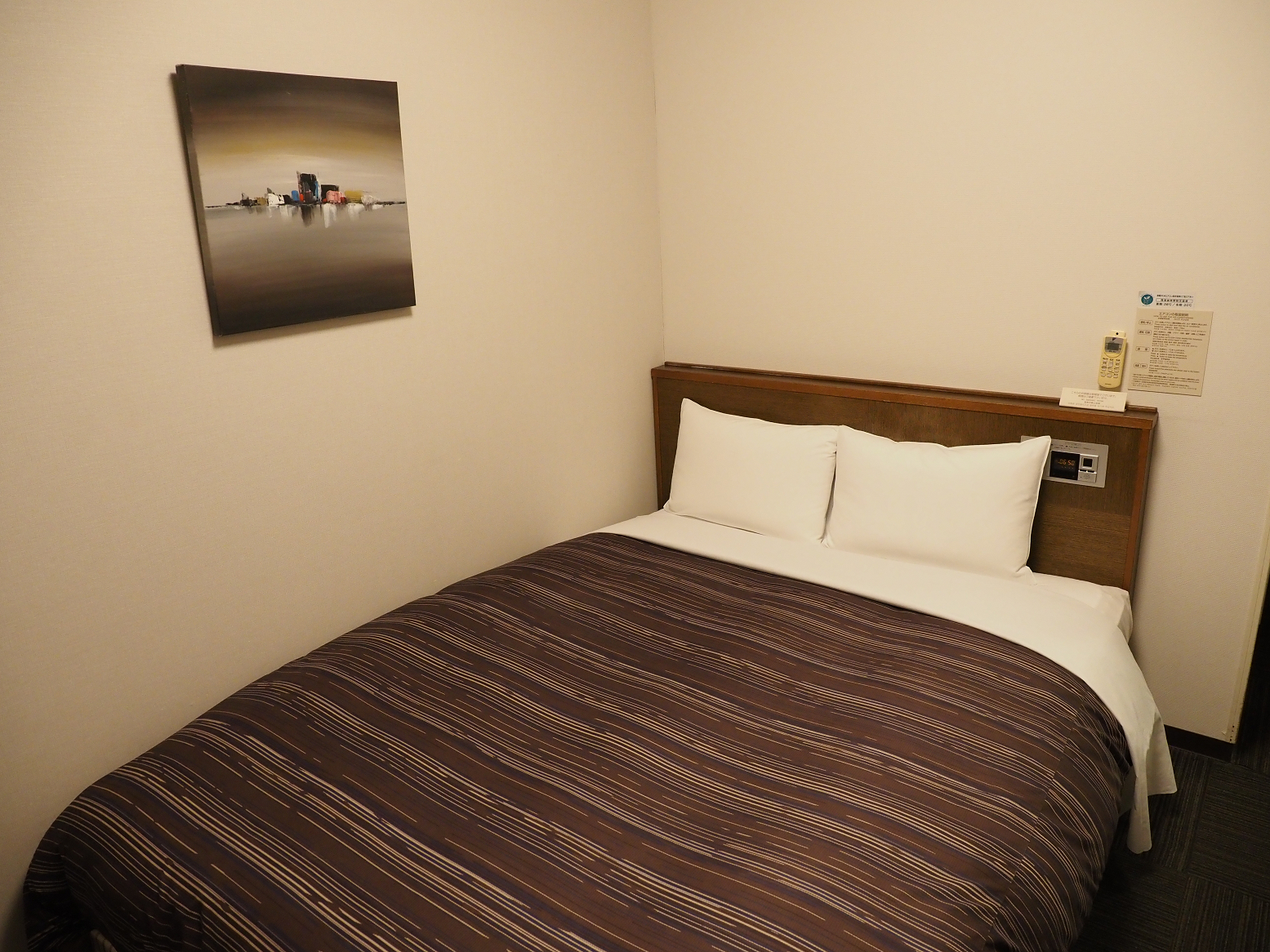 PA310409.jpg