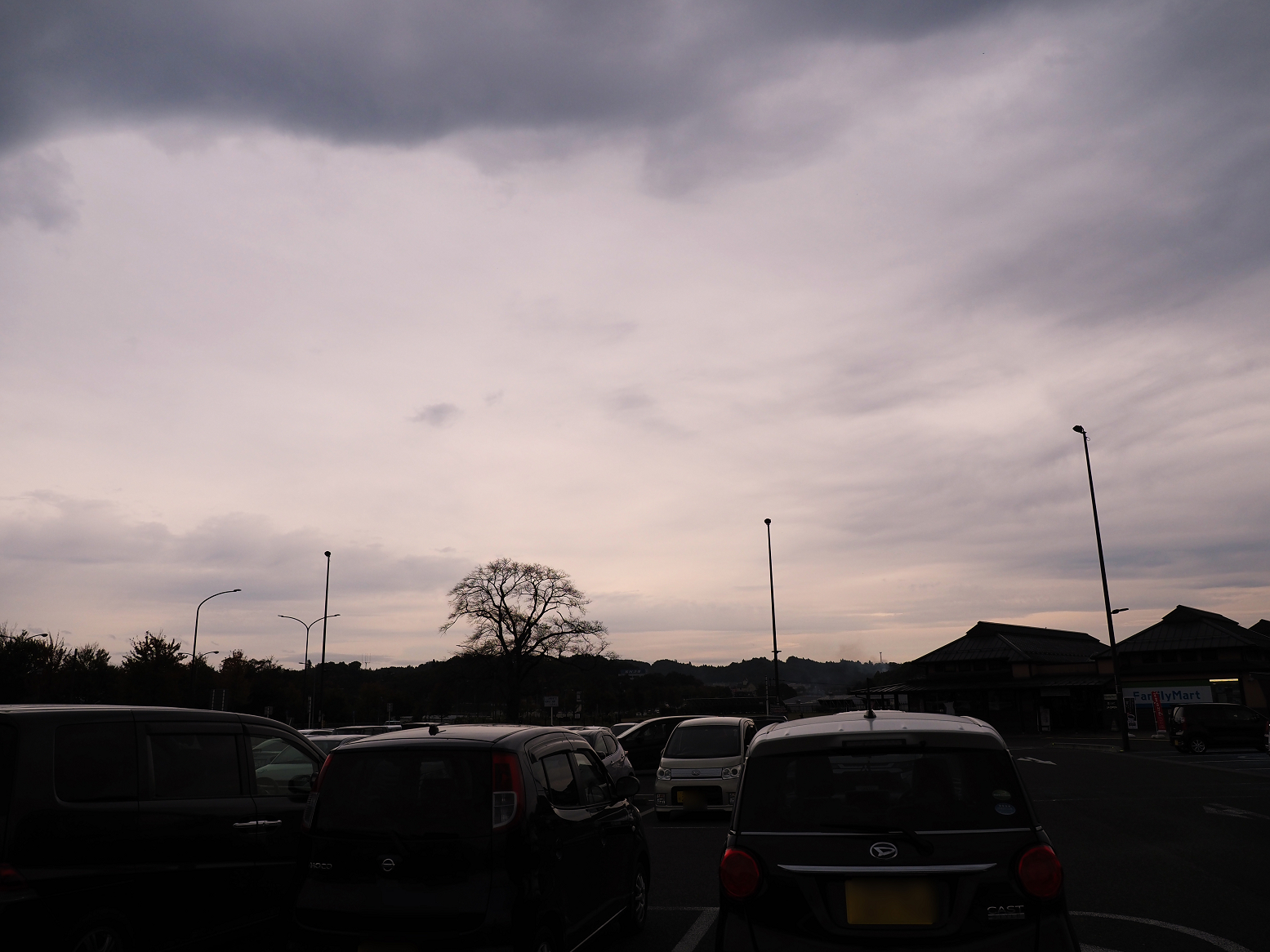 PB010503.jpg
