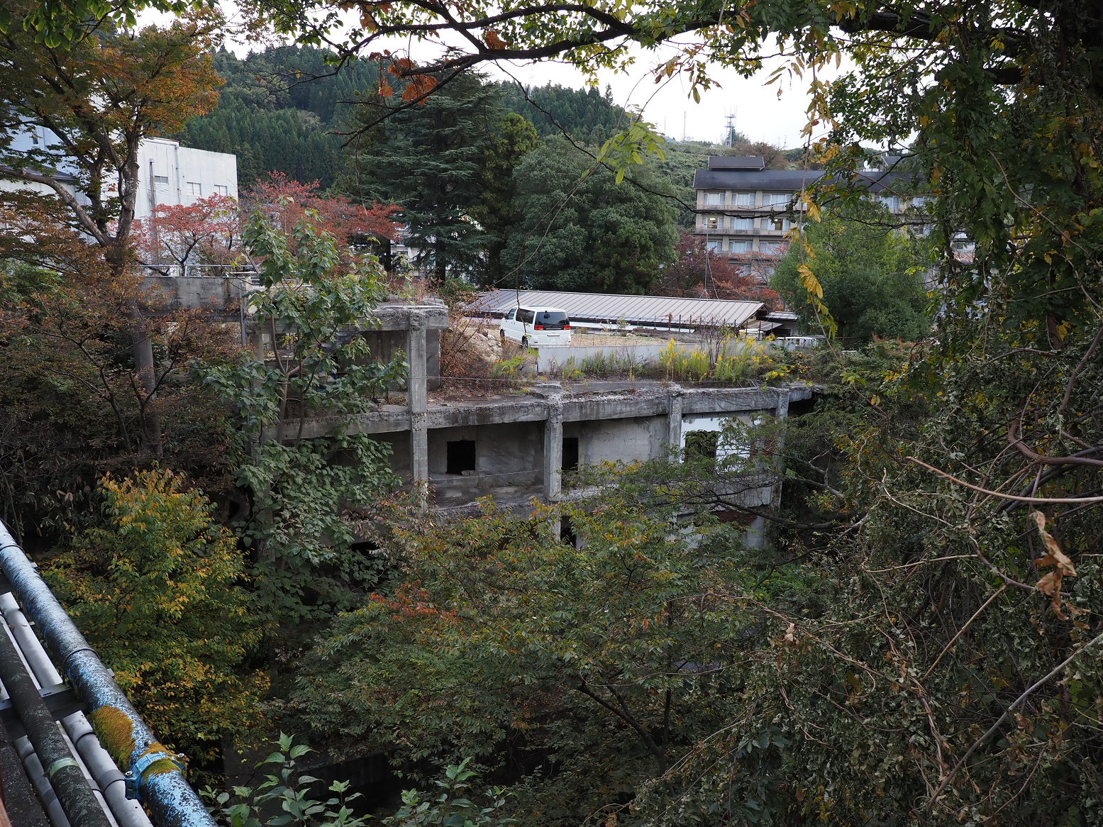PB010507.jpg