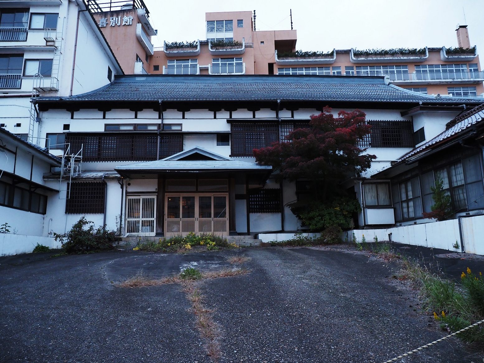 PB010544.jpg