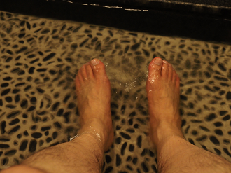 PB010614_thumb.png
