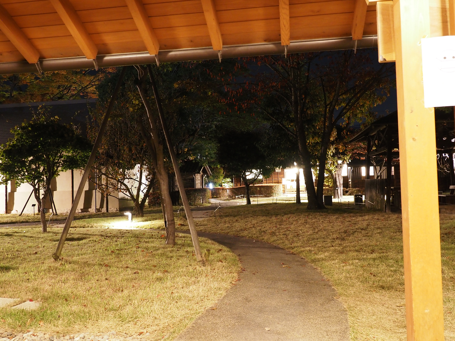 PB010616.jpg