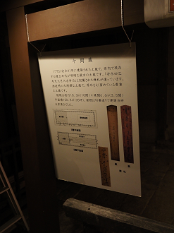 PB010628_thumb.png