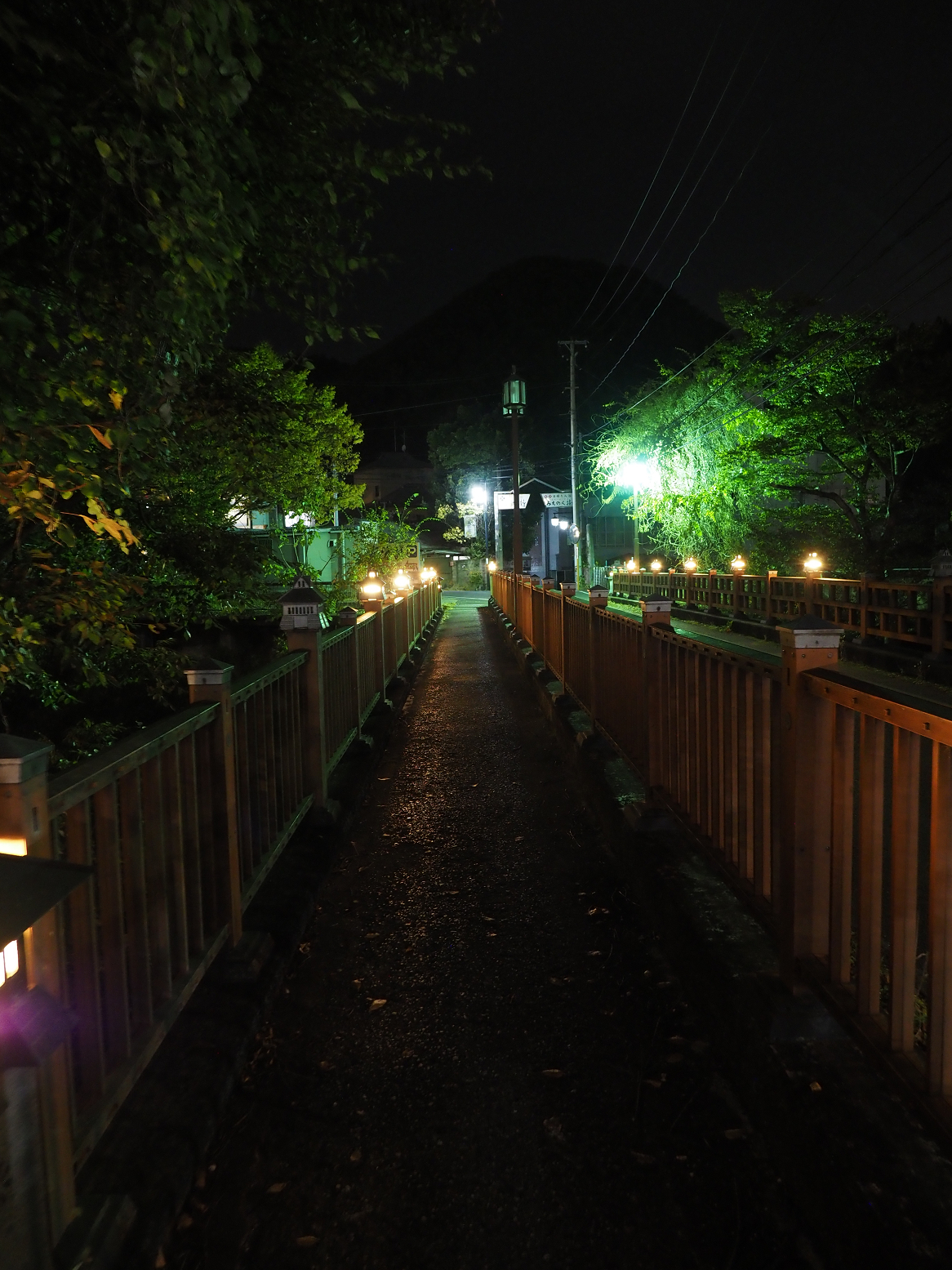 PB010640.jpg