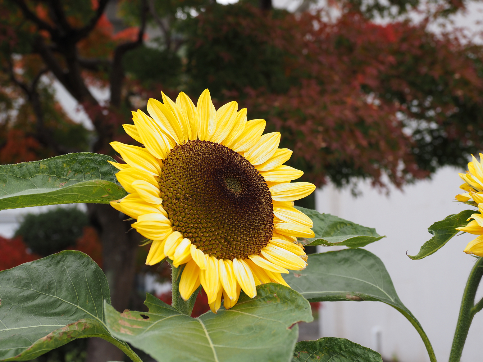 PB020669.jpg