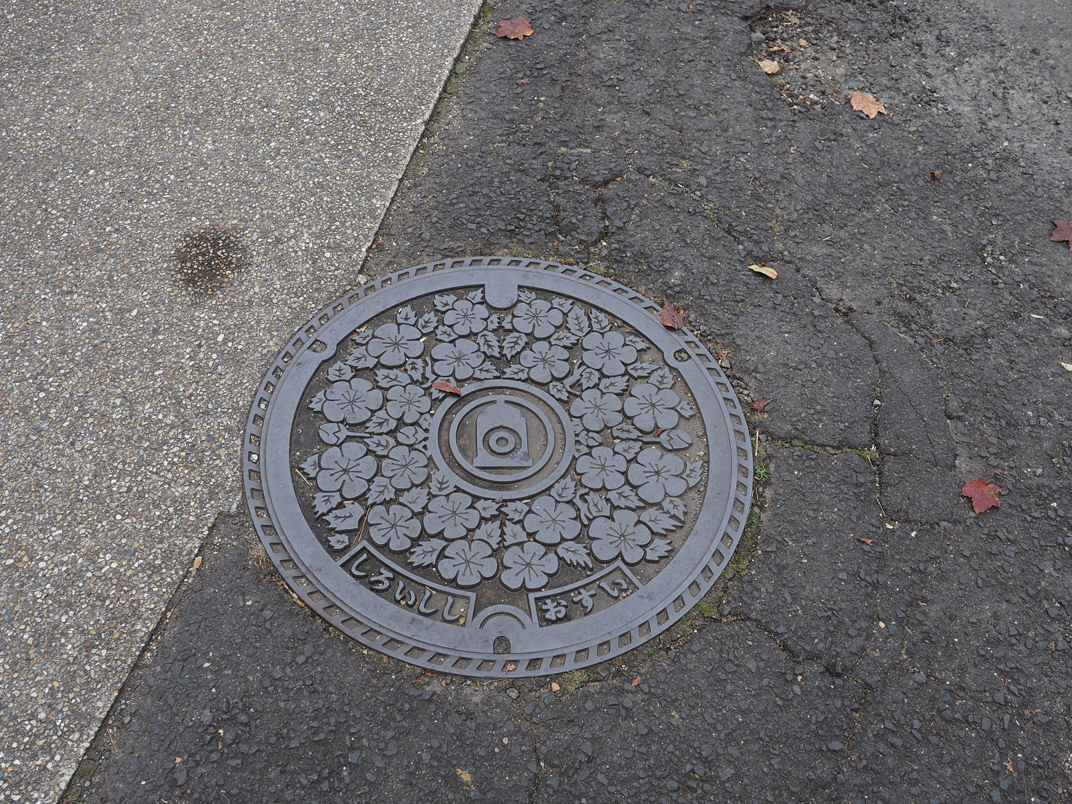 PB020688.jpg