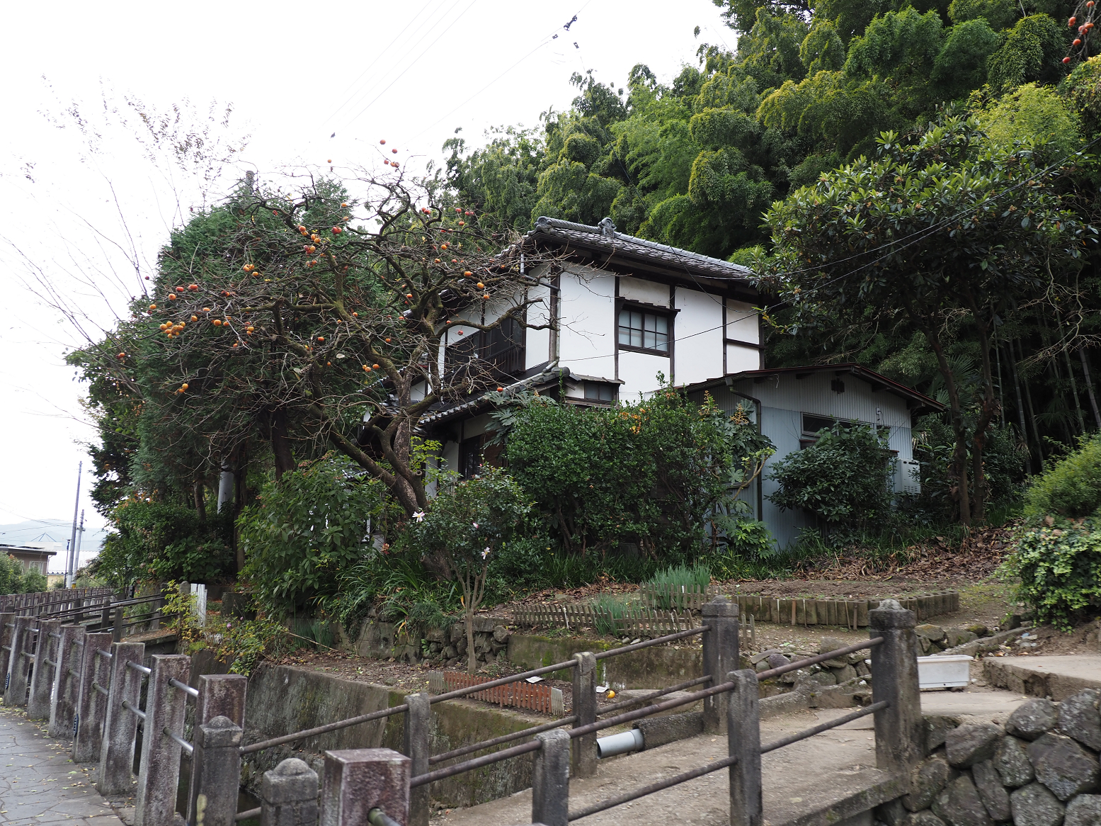PB020691.jpg