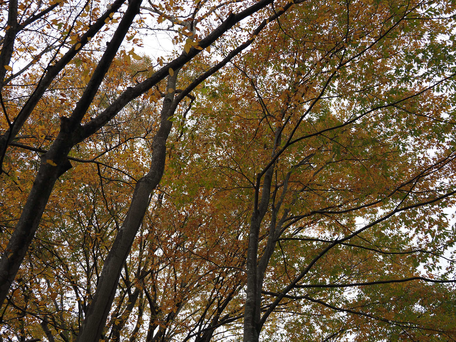 PB020697.jpg