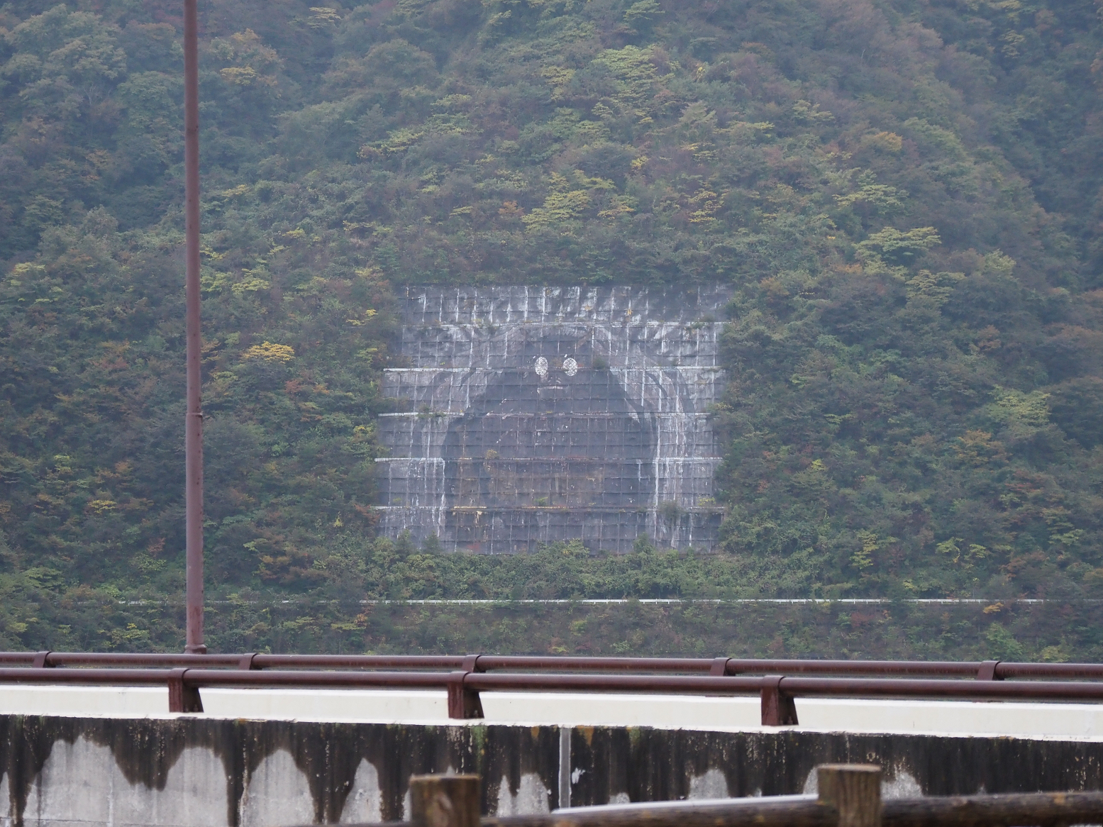 PB020715.jpg