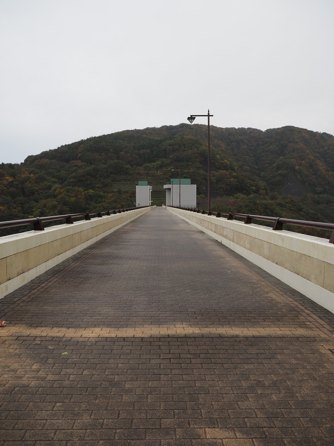 PB020719.jpg
