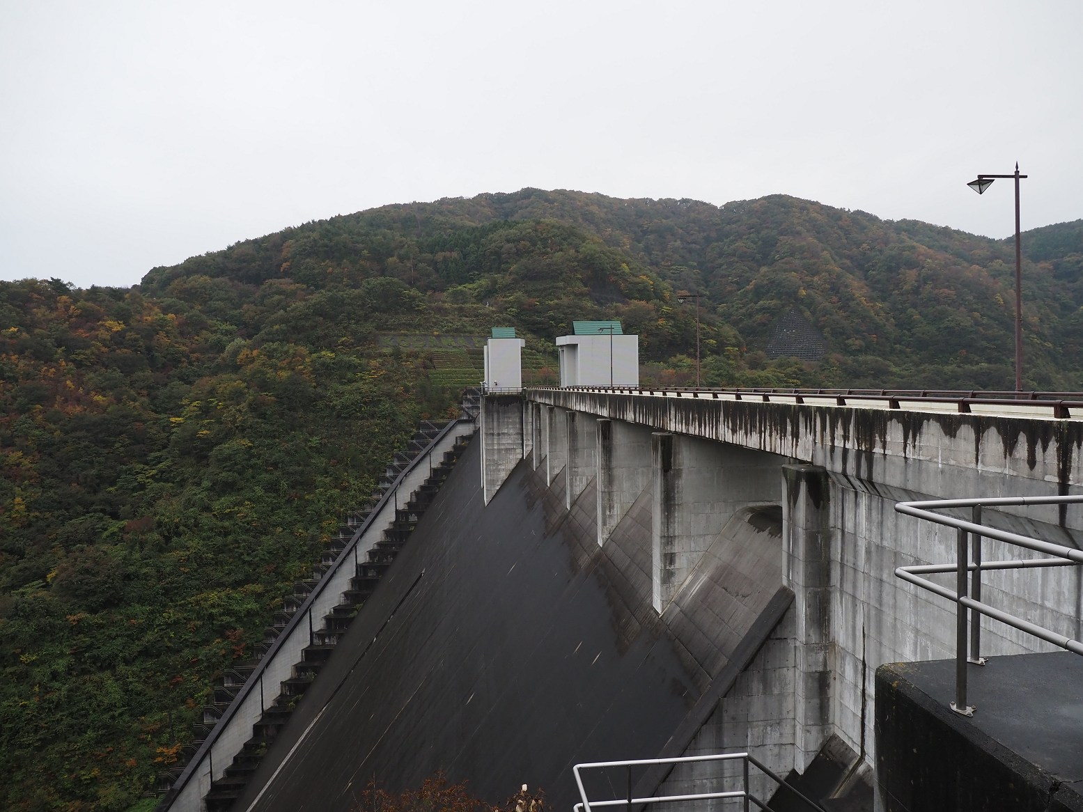 PB020720.jpg