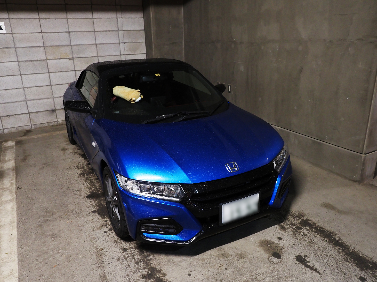 PB020726.jpg