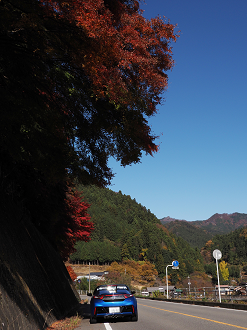PB141014_thumb.png