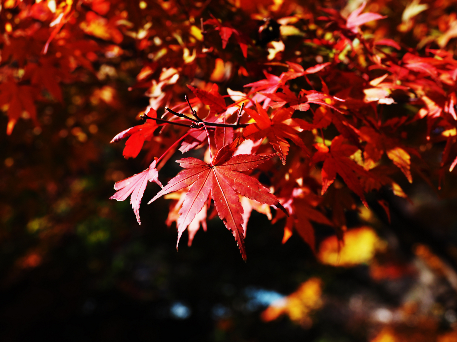 PB141027.jpg