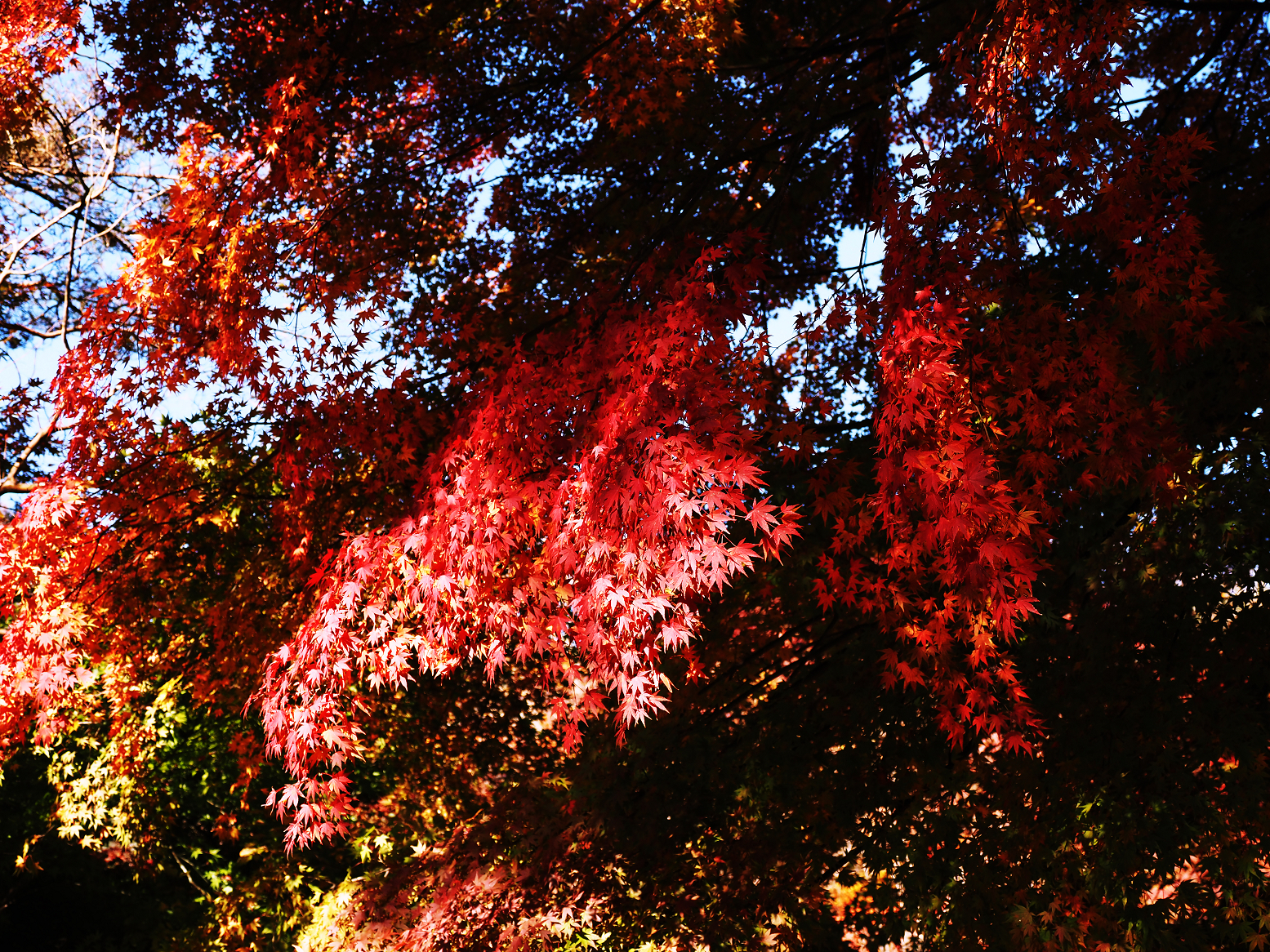 PB141028.jpg