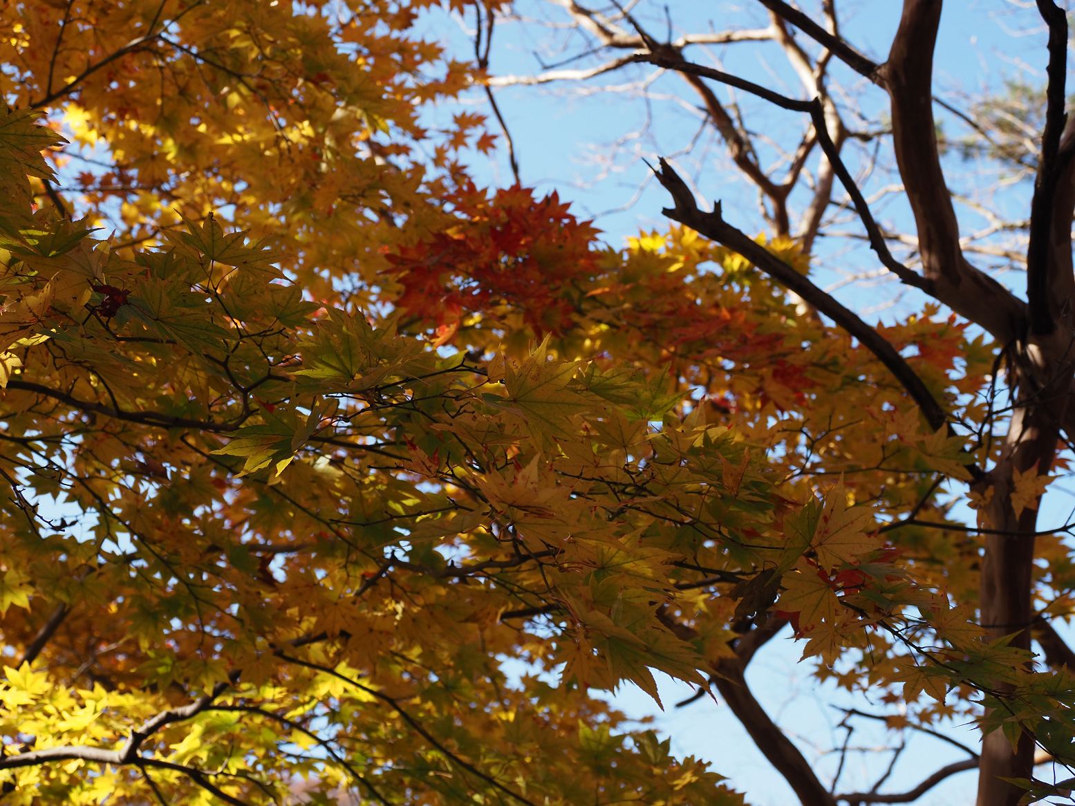 PB141032.jpg