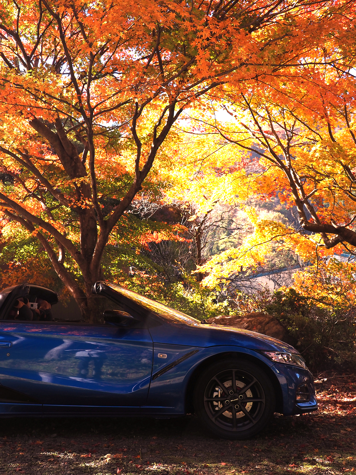 PB141039-01.jpg