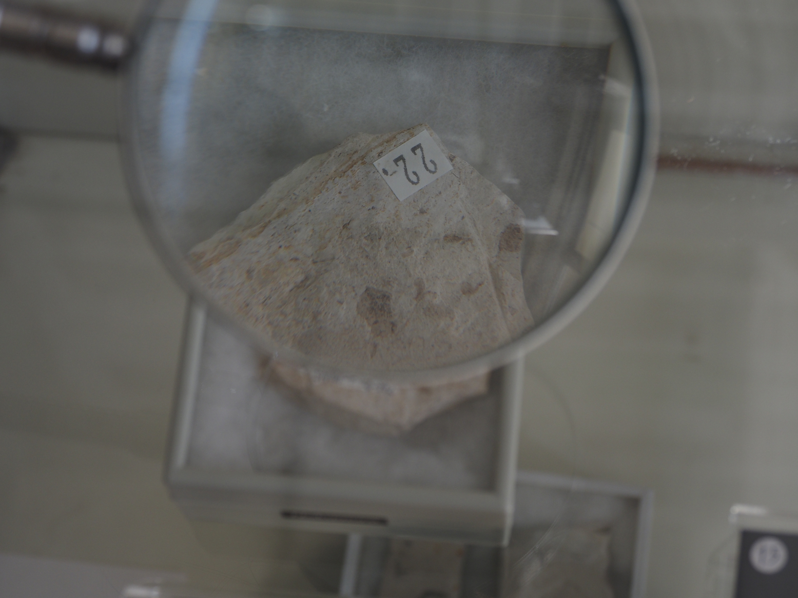 PB141147.jpg