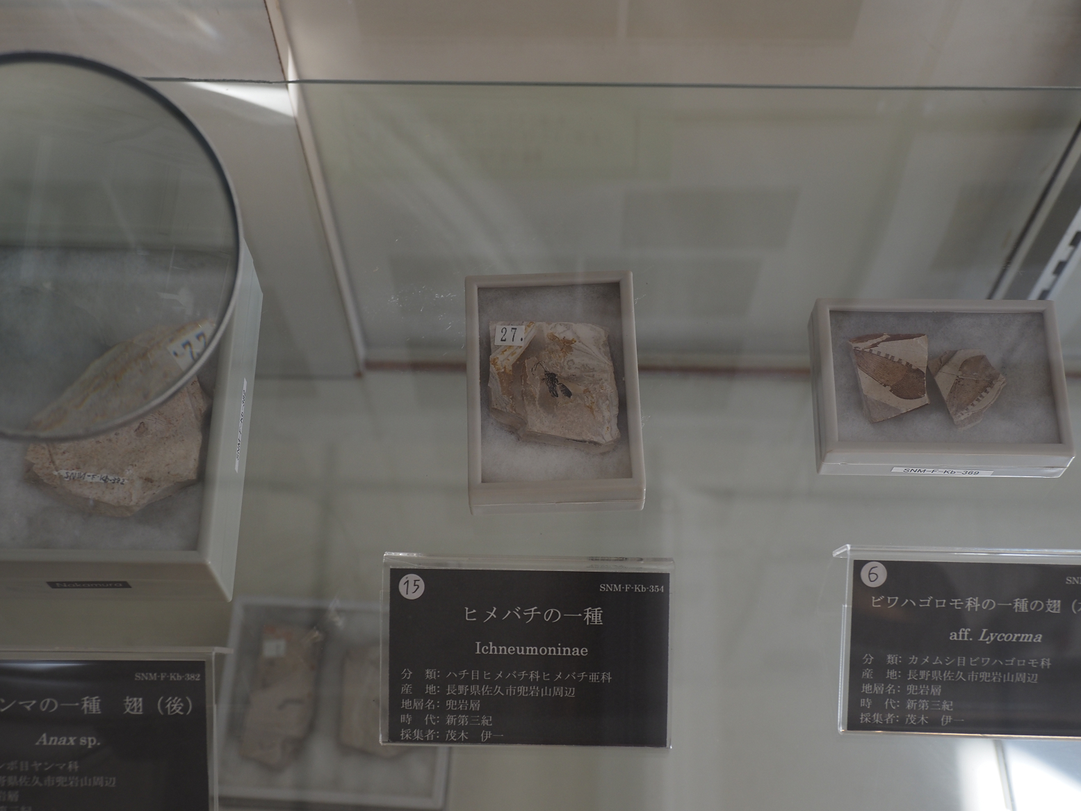 PB141148.jpg