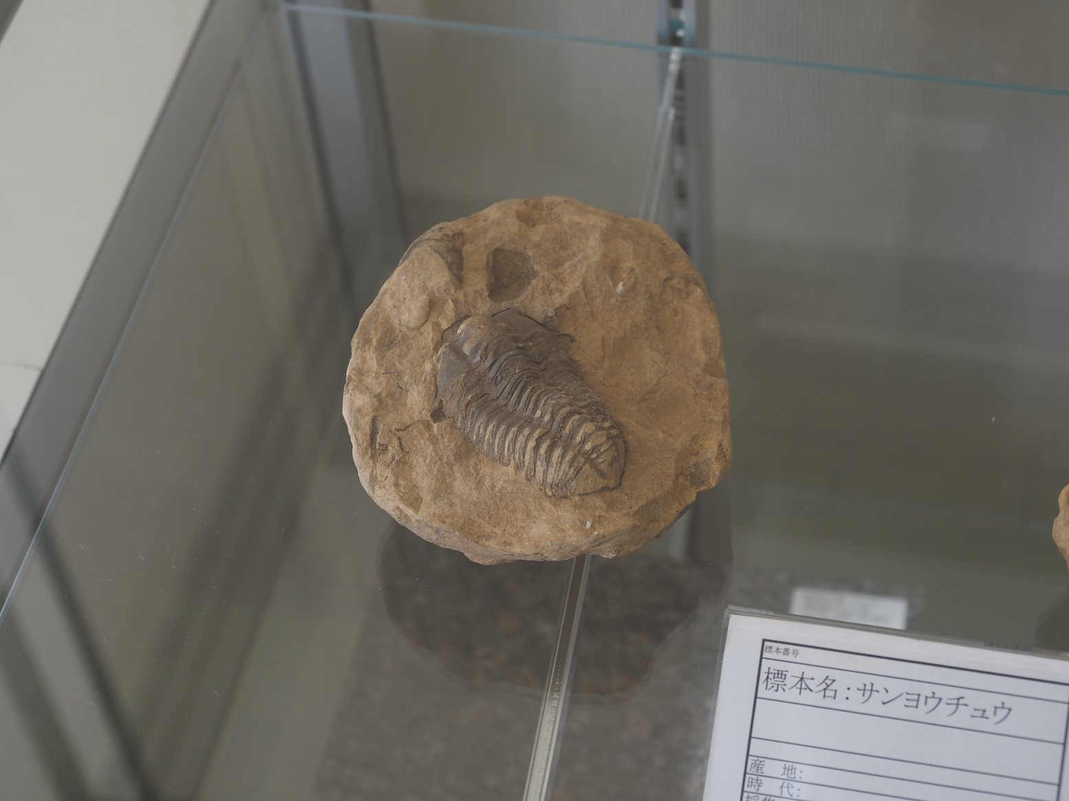 PB141149.jpg