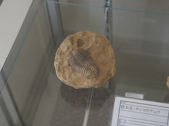 PB141149_thumb.png