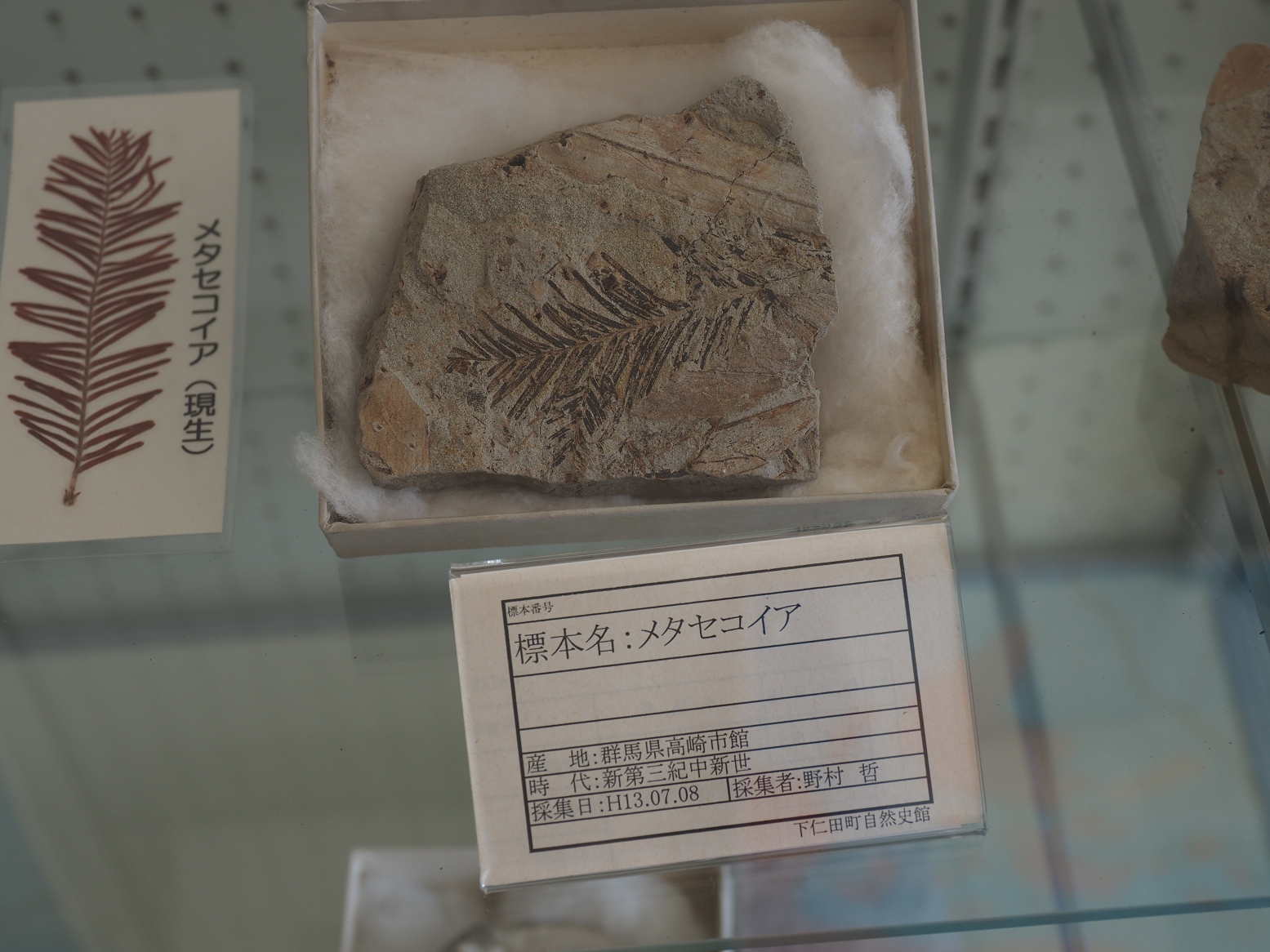 PB141152.jpg
