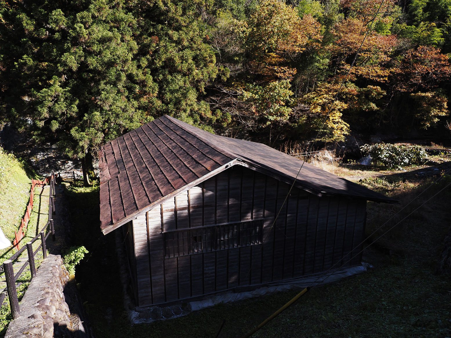 PB141169.jpg