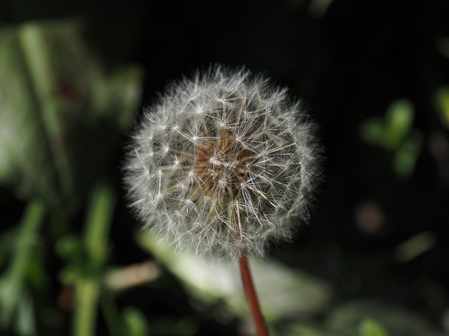 PB141210.jpg