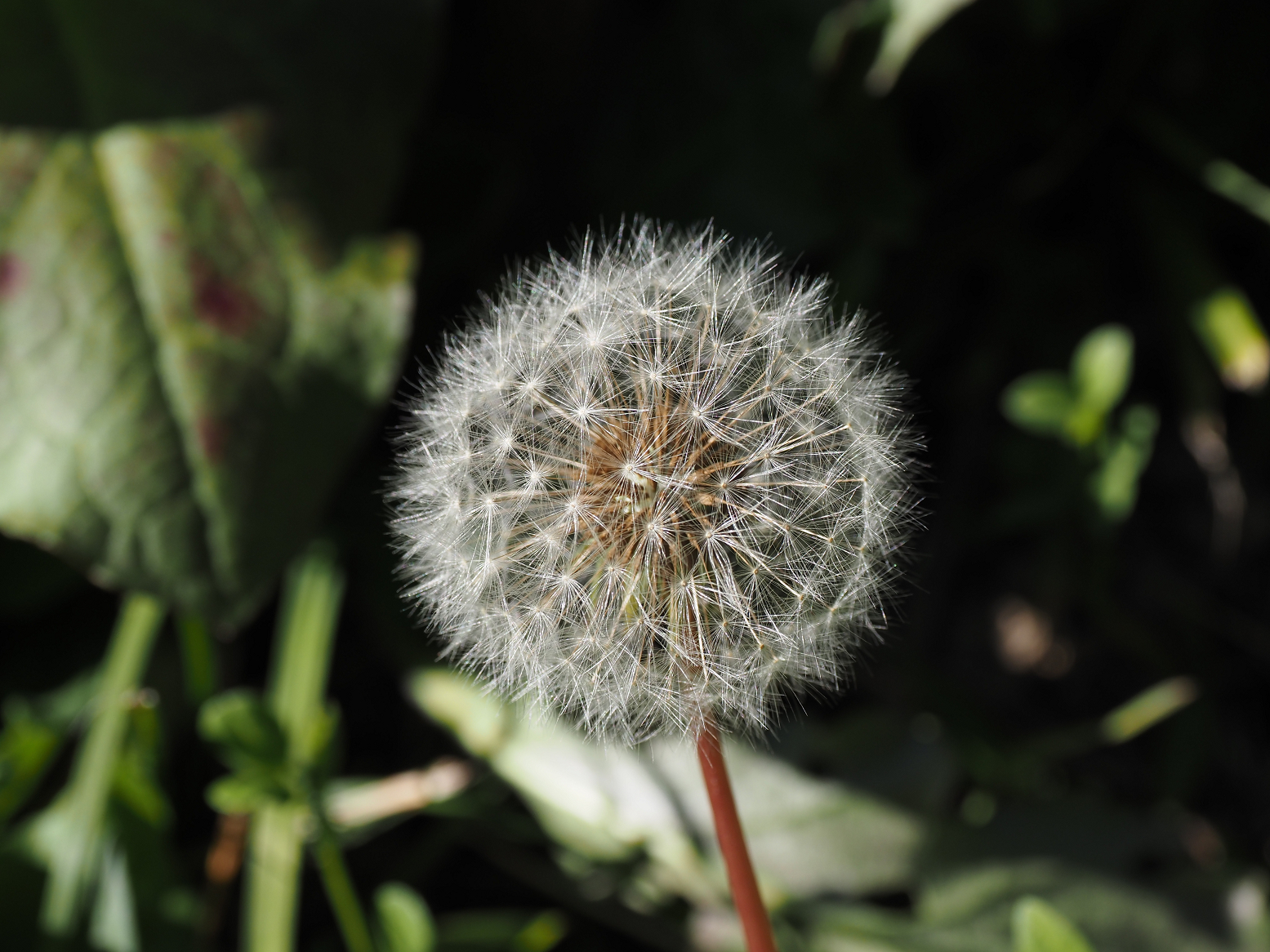 PB141212.jpg