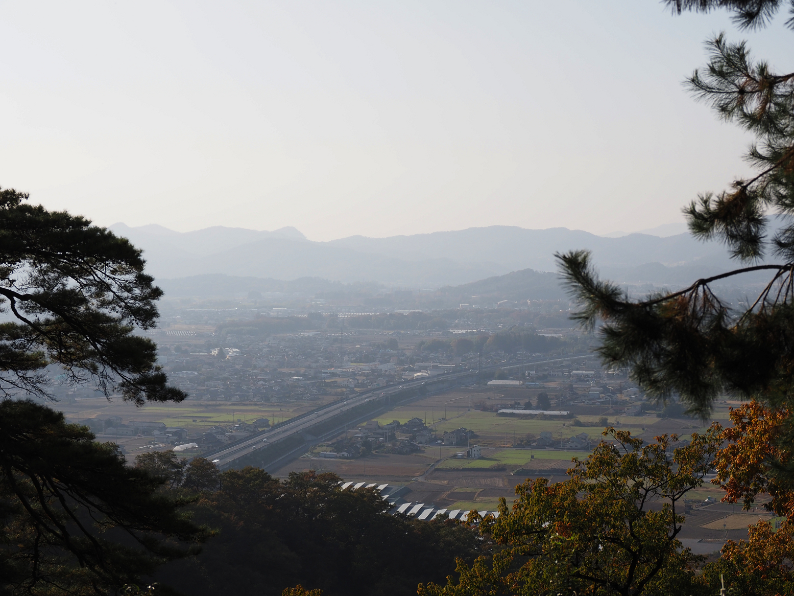 PB151222.jpg