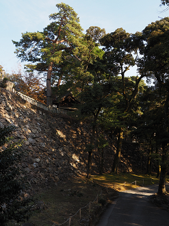 PB151302_thumb.png