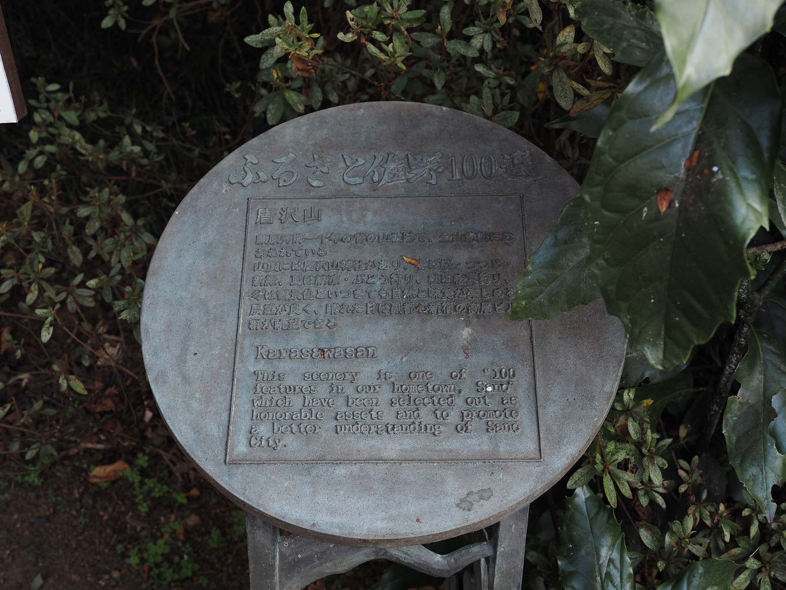 PB151336.jpg