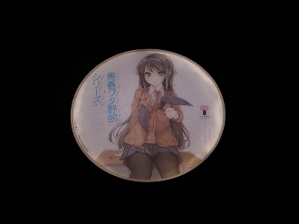 PB201461_thumb.png