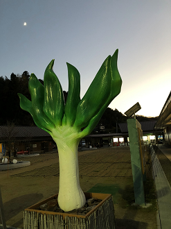 PB211639-09_thumb.png