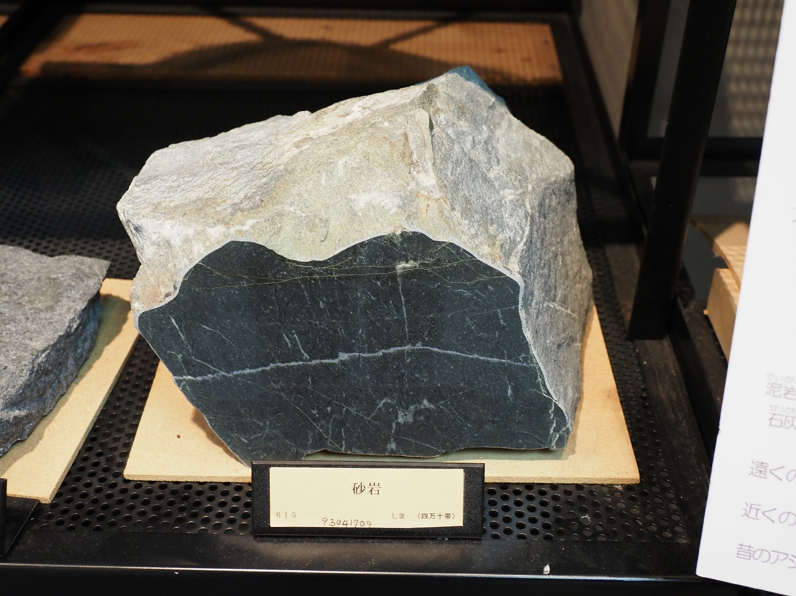 PB221752.jpg