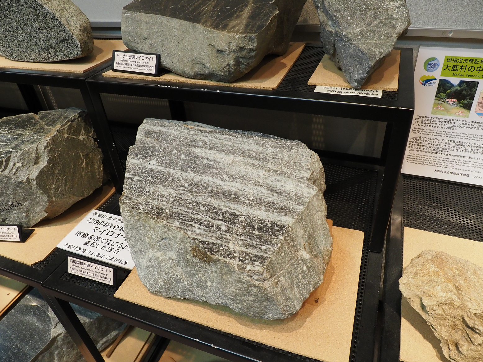 PB221757.jpg