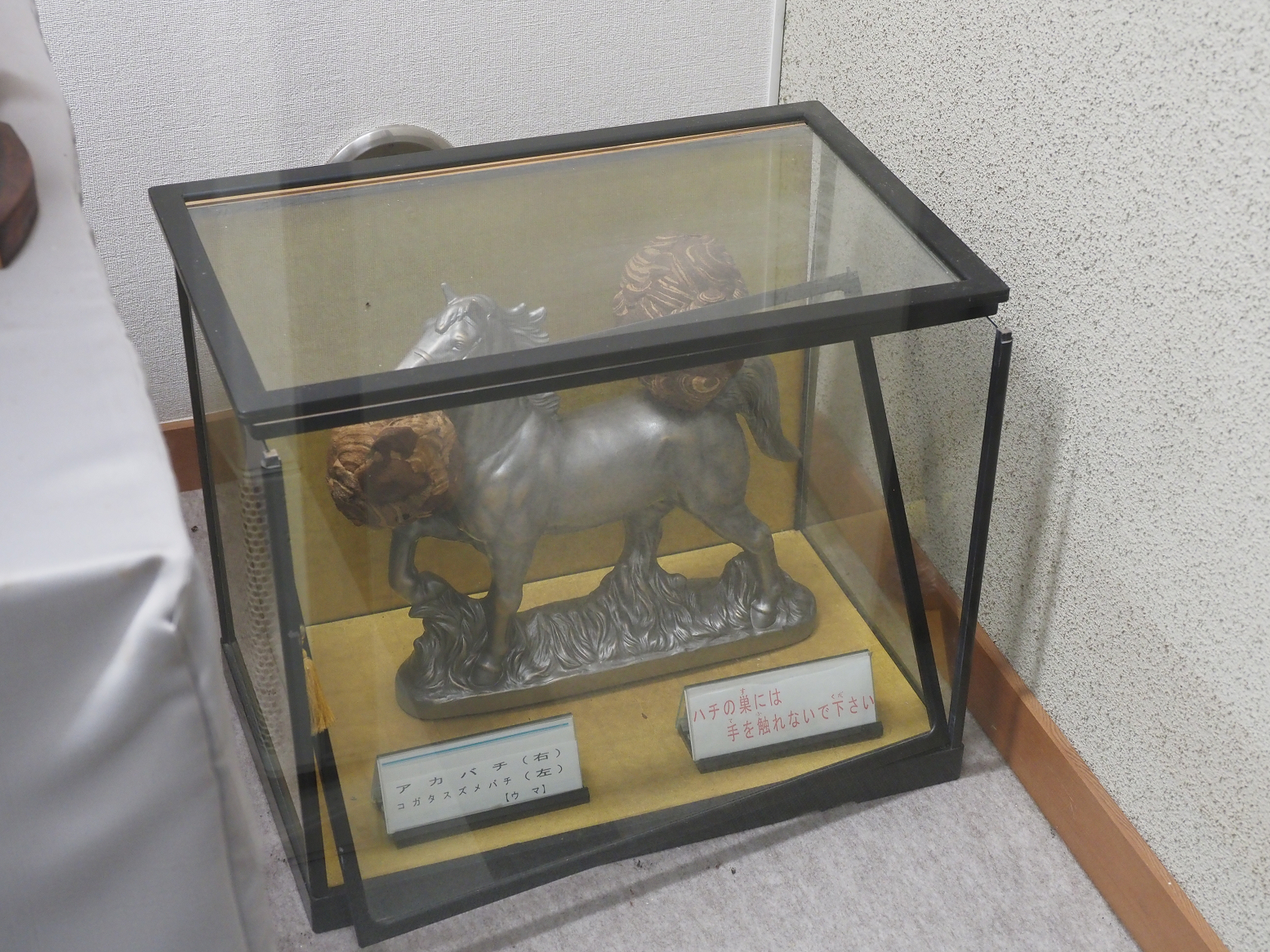 PB221820.jpg
